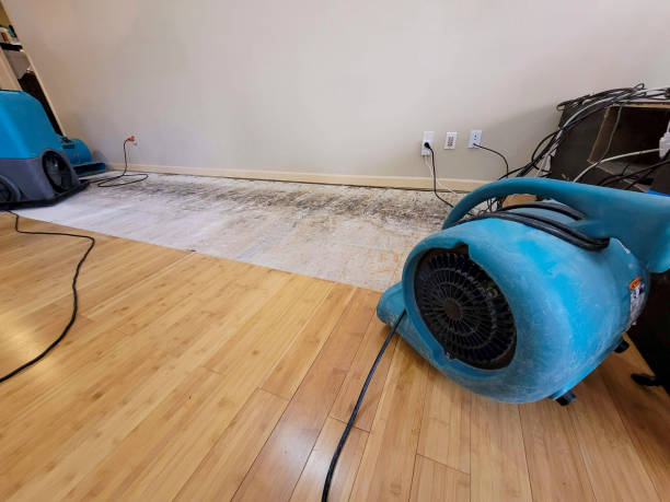 Professional Ceiling Water Damage Repair technician working in Oak Vale, MS