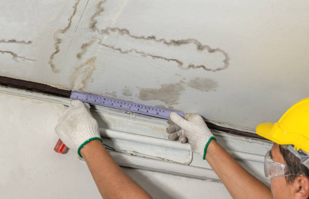 Affordable Ceiling Water Damage Repair solutions in Oak Vale, MS